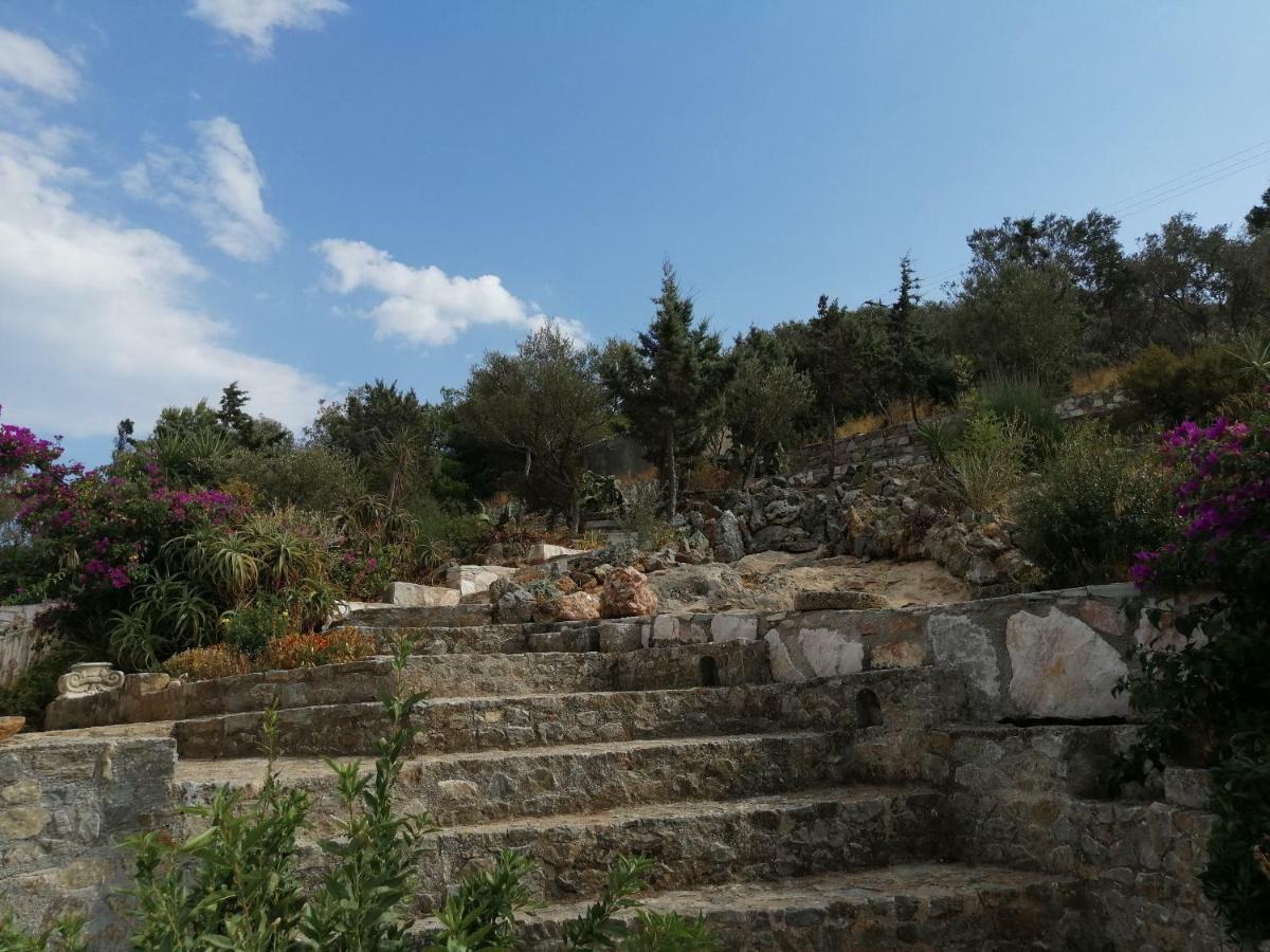 Artemis Villa Near Athens Airport Markopoulo Mesogaias Ngoại thất bức ảnh