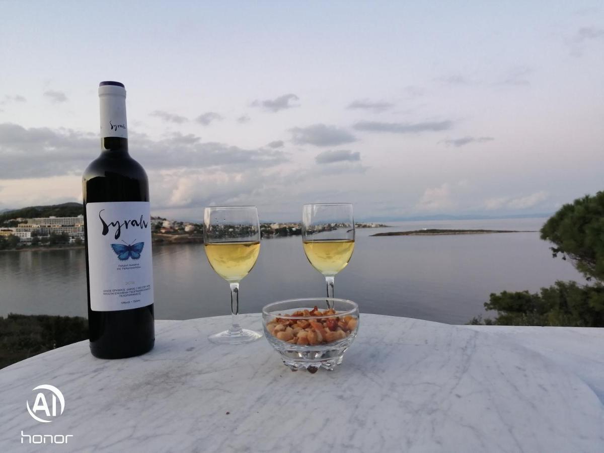 Artemis Villa Near Athens Airport Markopoulo Mesogaias Ngoại thất bức ảnh